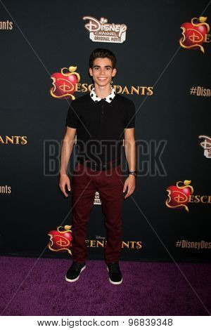 LOS ANGELES - JUL 24:  Cameron Boyce at the 