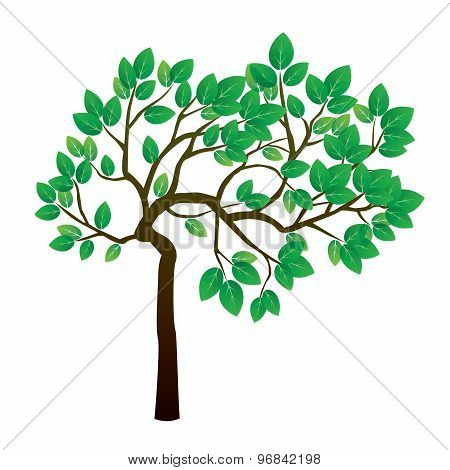 Tree And Green Leafs. Vector Illustration.