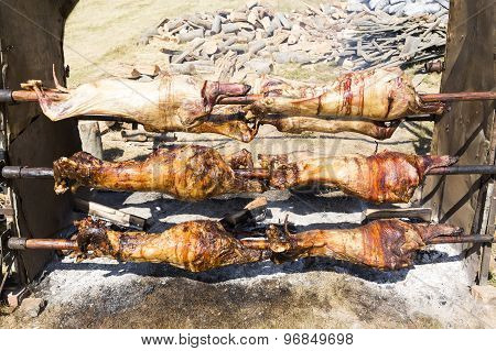 Lambs On Spits Roasting