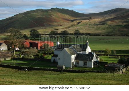 Schottischer Farm