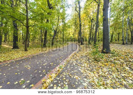 Pathway in the autumn park