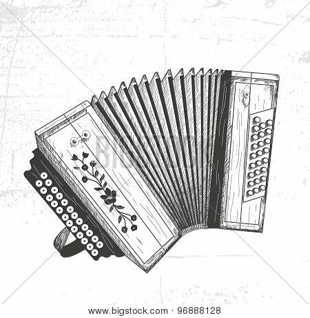 hand drawn accordion
