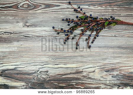 Blackberries