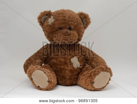Teddy Bear