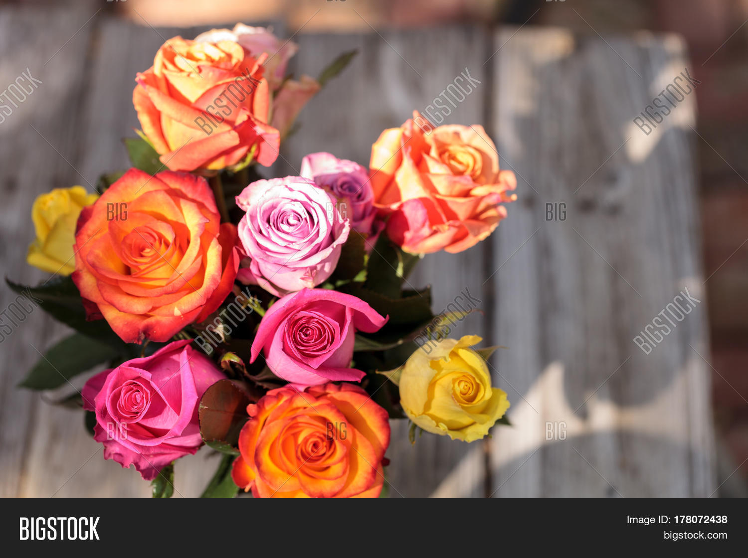 What does rainbow color roses mean The Meaning Of Color