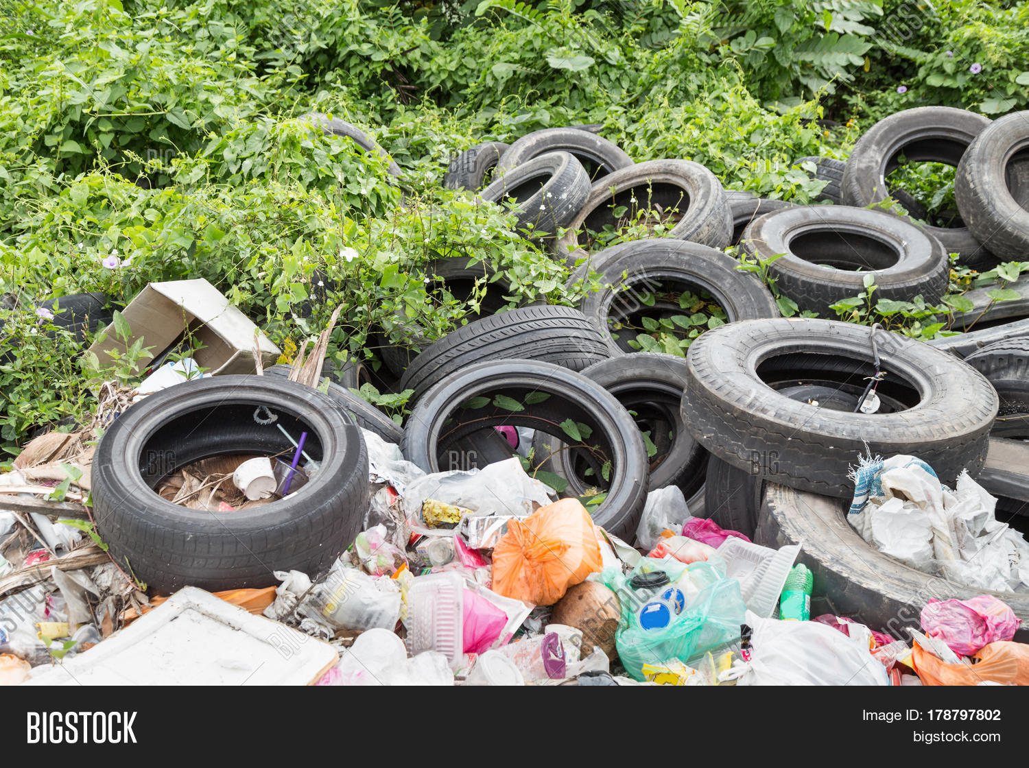Used Tyre Garbage Dump Image & Photo (Free Trial) Bigstock