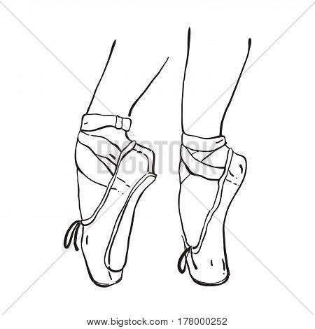 Vector Hand Drawn Ballet Shoes Points