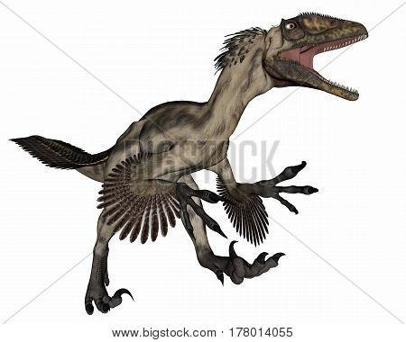 Deinocheirus dinosaur roaring isolated in white background - 3D render