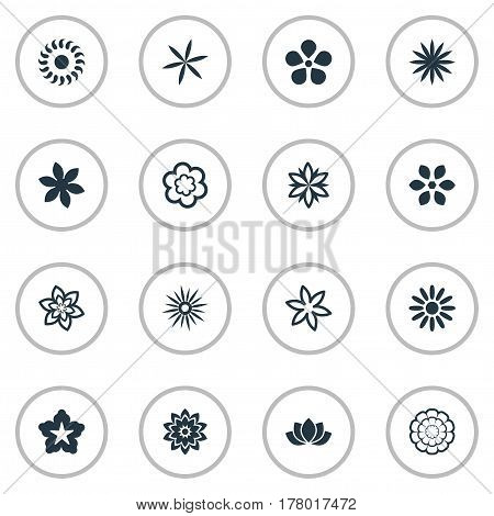 Vector Illustration Set Of Simple Rose Icons. Elements Orchids, Sword Lily, Cypress And Other Synonyms Water Lily, Victoria And Narcissus.