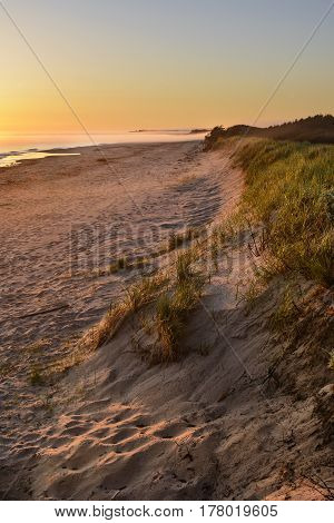 Golden Foggy Sunrise on Beach in Summer