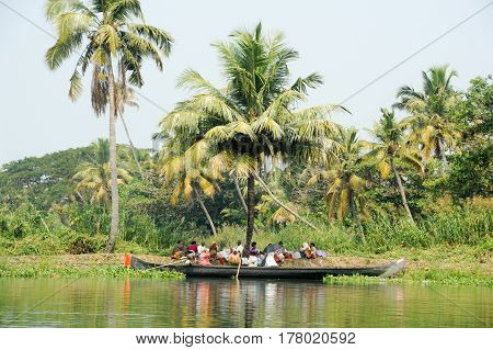 People Resting On The Shade Of A Palm Tree