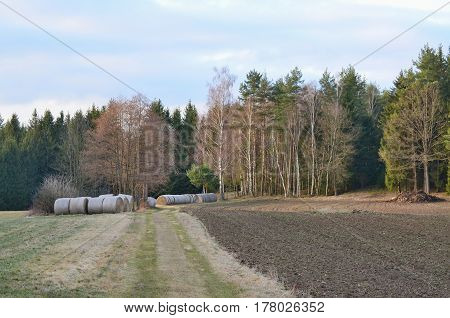 view of haymaking hay storage Niederösterreich Austria