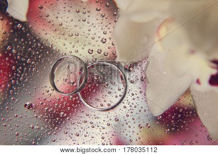 Beautiful composition of wedding rings and orchids on a glass table with water droplets