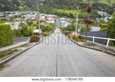 An image of the very steep Baldwin Road in Dunedin New Zealand