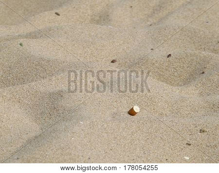 Cigarette butt in the sand on the Bulgarian Black Sea beach