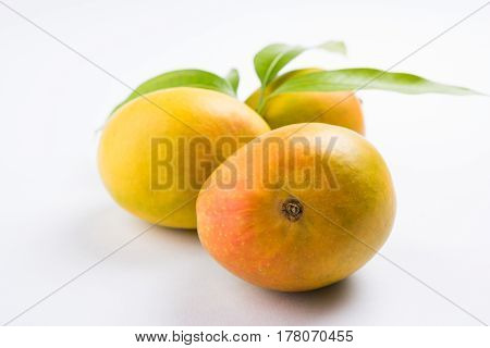King of fruits; Alphonso yellow Mango fruit duo with stems and green leaf isolated on white background, a product of Konkan from Maharashtra - India