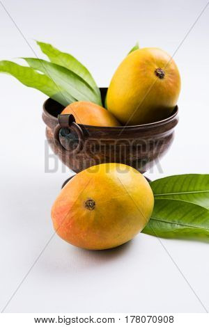 King of fruits; Alphonso yellow Mango fruit duo with stems and green leaf isolated on white background, a product of Konkan from Maharashtra - India