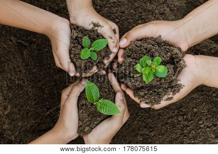 Growing concept eco Group hand children planting together on soil backgroud