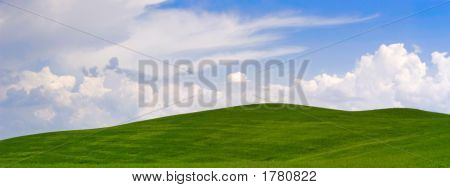 Hiils verde
