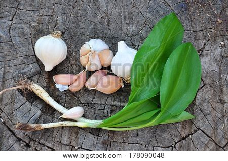Wild garlic ramson or bear garlic with garlic bulb and garlic cloves on wooden background