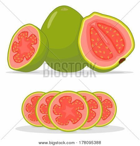 Vector illustration logo for whole ripe fruit red guava cut half sliced amrood background.