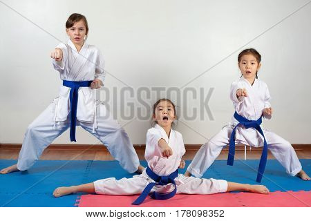 Three Little Girls Demonstrate Martial Arts Working Together