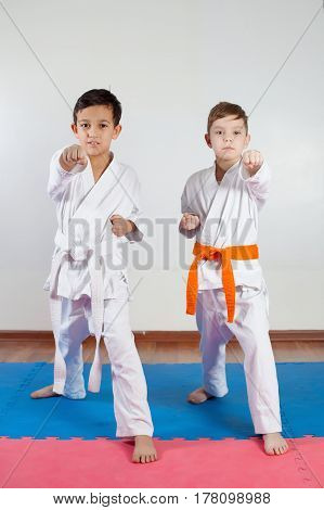 Two boys demonstrate martial arts working together. Fighting position active lifestyle practicing fighting techniques