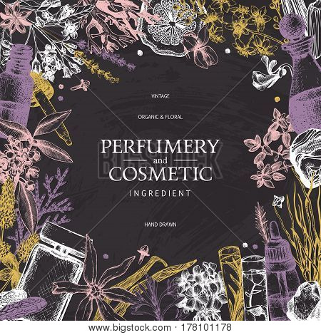 Vintage template. Ink hand drawn design with aromatic plants and fruits on chalkboard.. Vector illustration with highly detailed perfumery and cosmetics ingredients sketch.