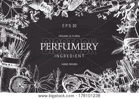 Vintage template. Ink hand drawn design with aromatic plants and fruits on chalkboard.. Vector illustration with highly detailed perfumery and cosmetics ingredients sketch.