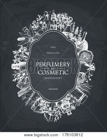 Vintage template. Ink hand drawn design with aromatic plants and fruits on chalkboard. Vector illustration with highly detailed perfumery and cosmetics ingredients sketch.