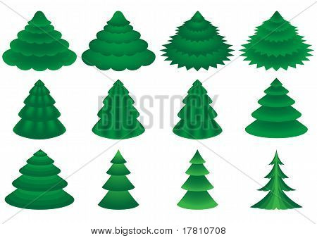 vector conifers