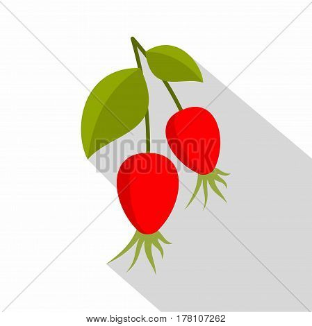 Ripe berries of a dogrose icon. Flat illustration of ripe berries of a dogrose vector icon for web isolated on white background