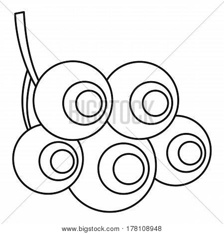 Viburnum opulus berries icon. Outline illustration of viburnum opulus berries vector icon for web