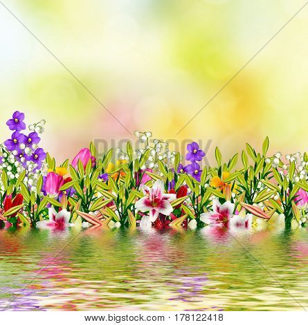 Bright and colorful spring flowers. Floral background.