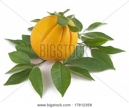 Orange med grønne blade.