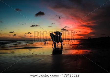 Sunset and silhouette at Parangtritis Beach, Central Java Indonesia