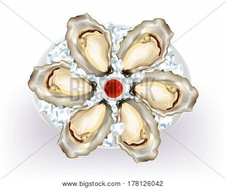 Oysters on a platter with ice cubes