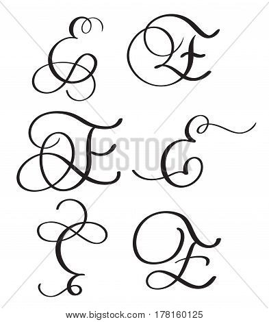 set of art calligraphy letter E with flourish of vintage decorative whorls. Vector illustration EPS10.