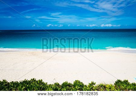 A really bright and abstract beach and ocean view in the Bahamas.
New Providence, Nassau, Bahamas.