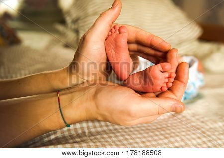 Baby little pink feet in parent hands