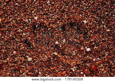 Fingerprints of the newlyweds on the sand. Wedding at the sea