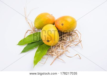 King of fruits; Alphonso yellow Mango fruit duo with stems and green leaf isolated over colourful background, a product of Konkan from Maharashtra - India