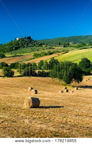 Haycock and trees in sunny tuscan countryside Italy.