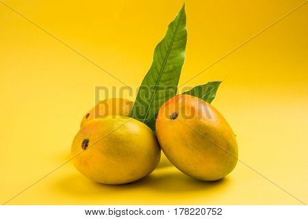 King of fruits; Alphonso yellow Mango fruit duo with stems and green leaf isolated over colourful background, a product of Konkan from Maharashtra - India