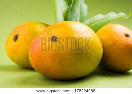 King of fruits; Alphonso yellow Mango fruit duo with stems and green leaf isolated over colourful background, a product of Konkan from Maharashtra - India