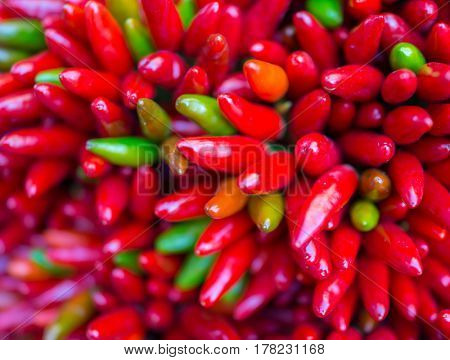 Red hot chilly pepers closeup background