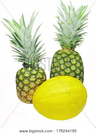 honeymelon and two pineapples tropical fruit isolated