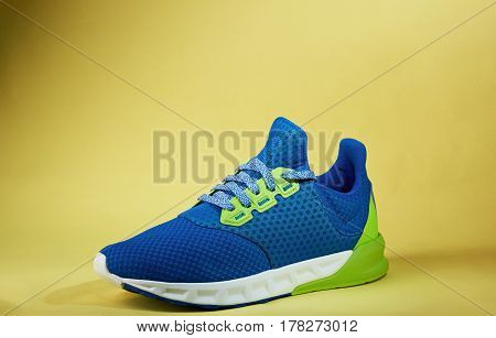 New Modern Trainer Shoe