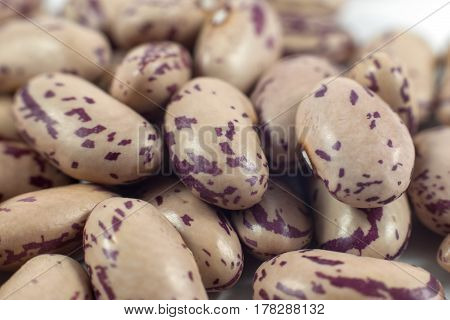 colorful beans isolated on white background, food.
