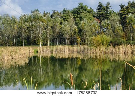 Grugnotorto park (Brianza Lombardy Italy): the little lake at fall